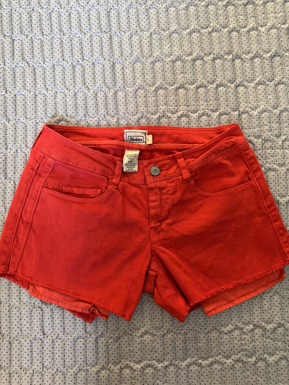 Y2K style Dickies Orange Casual Cotton Shorts